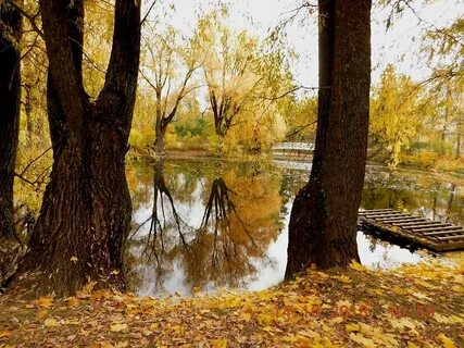 Болдино осенью