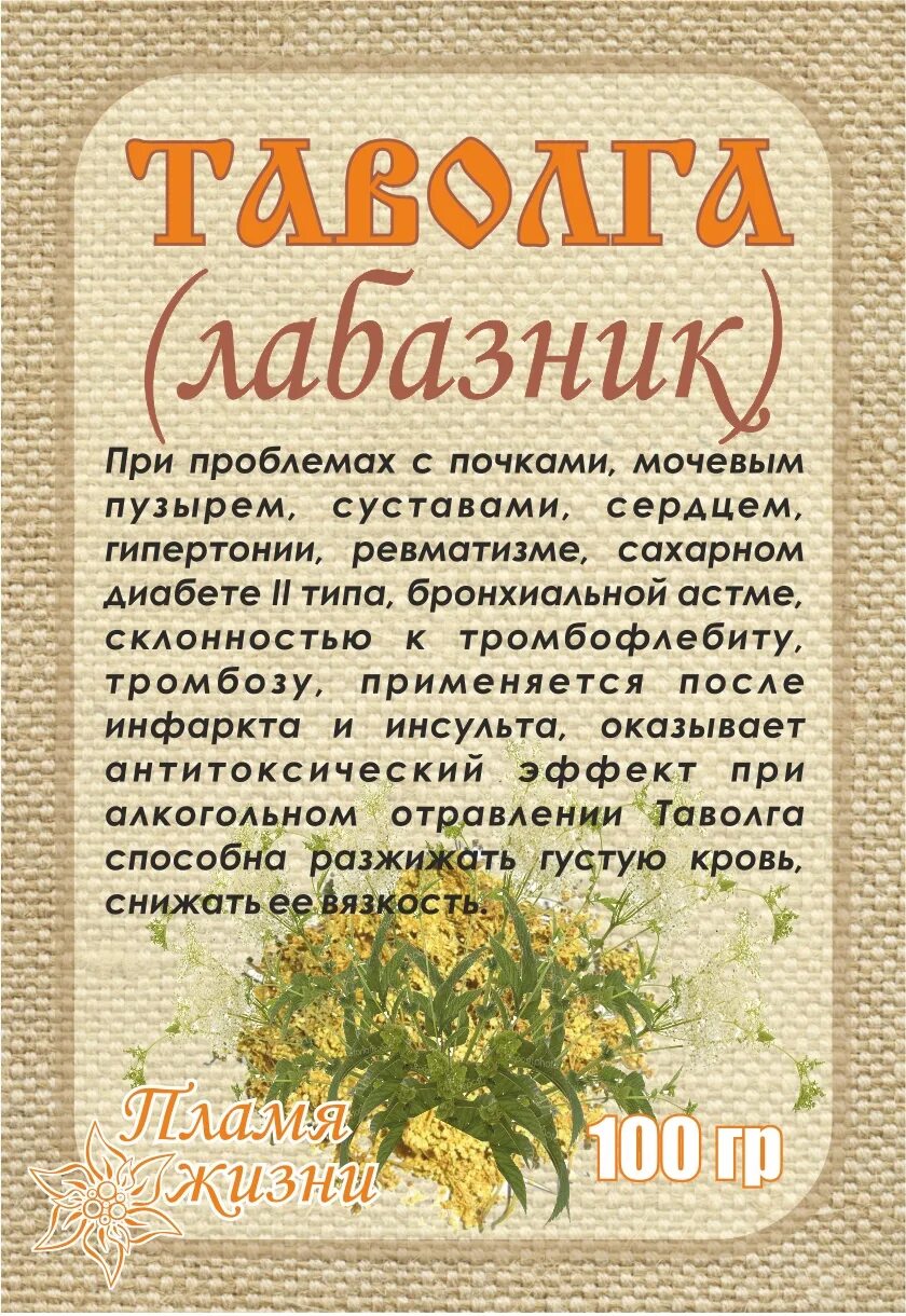 Трава таволга для чего применяется. Лабазник препарат. таволга описание растения. таволга трава инструкция.