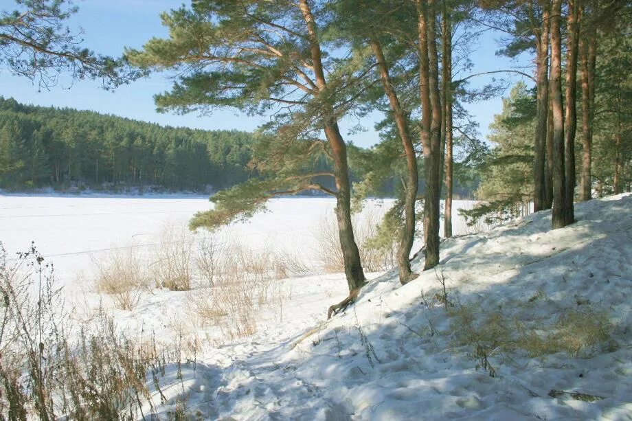 Гора Бессонова в Сысерти. Гора Бессонова в Сысерти зимой. Сысерть Бобровский река зима. Сысерть зимой