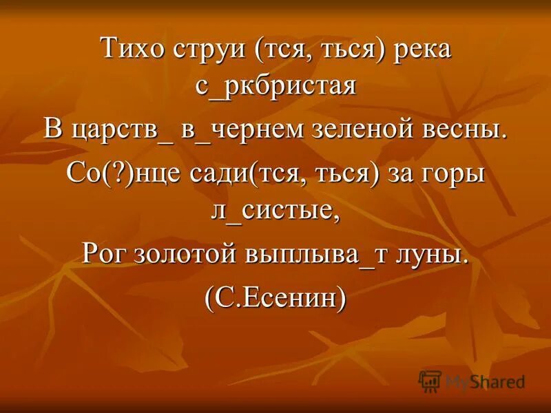 Пословицы с тся. Пословицы с ться. Пословицы с тся и ться. Пословицы с окончанием тся и ться в глаголах. Друзья обид тся