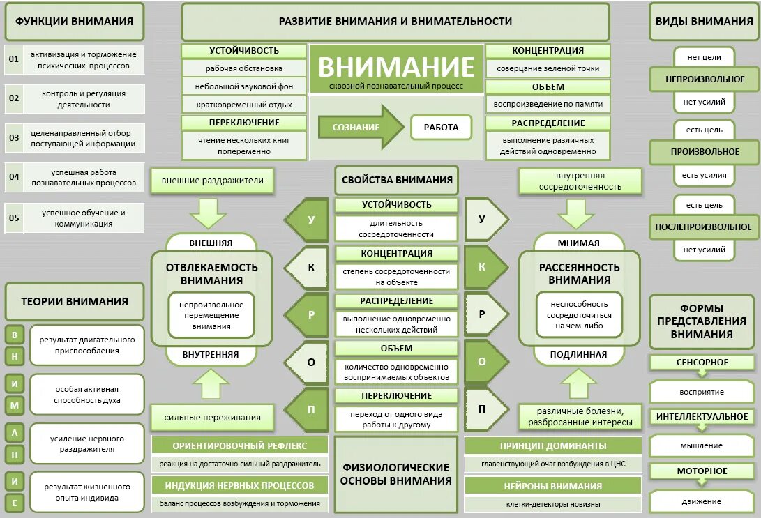 Сколько видов внимания. Схема виды внимания и их функции. основные процессы внимания в психологии. функции процесса внимания в психологии. строение внимания в психологии.