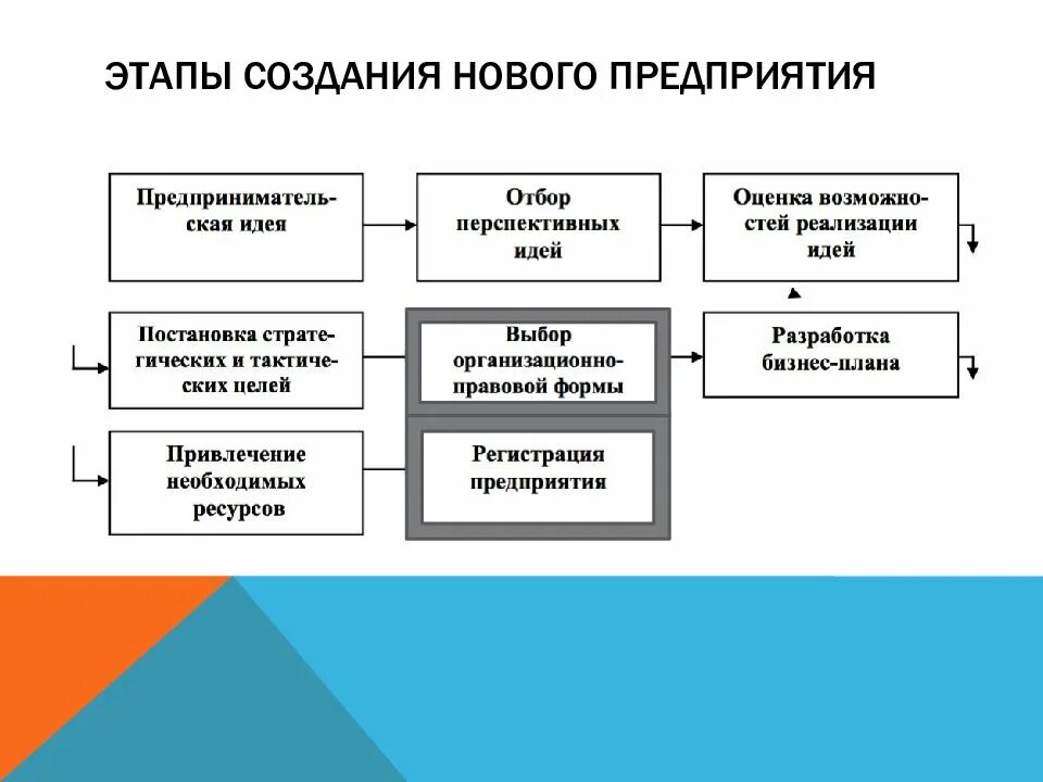 Этапы организации бизнеса