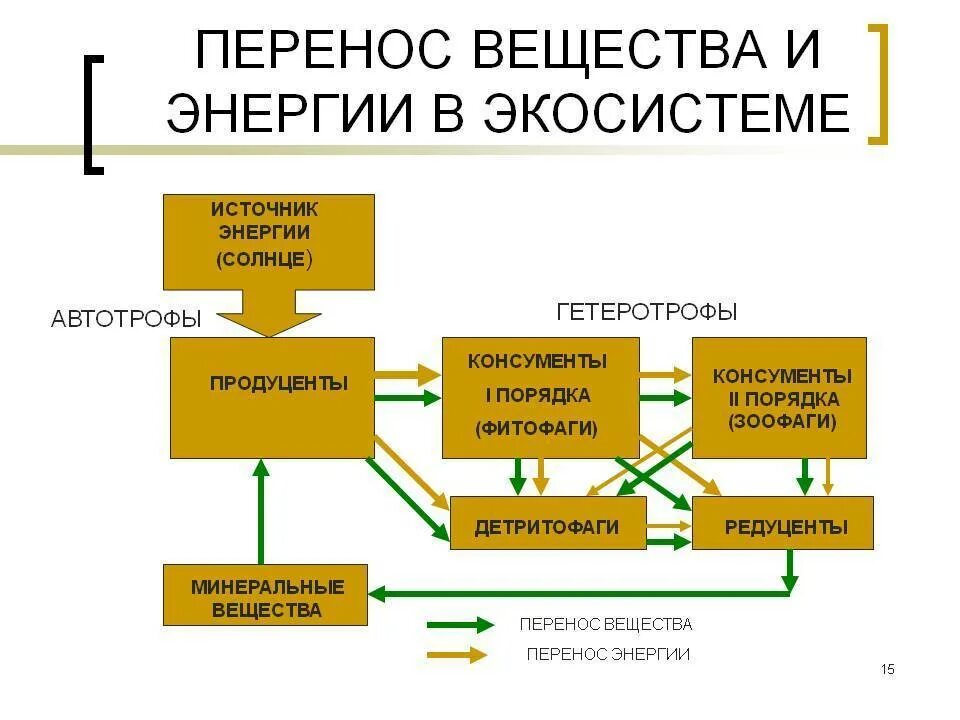 Какое преобразование энергии осуществляется в солнечных. Схема переноса вещества и энергии в экосистеме. Круговорот веществ и поток энергии в экосистеме. Круговорот веществ и превращение энергии в экосистему в экосистемах. Составление схем передачи веществ и энергии в экосистемах.