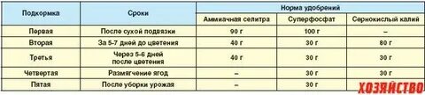Подкормка винограда аммиачной селитрой
