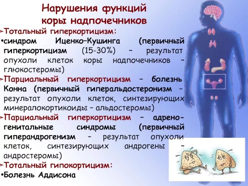 Какие заболевания надпочечников. Нарушение функции надпочечников. Патология коры надпочечников. Синдромы при заболеваниях надпочечников. Нарушение функции коры надпочечников.