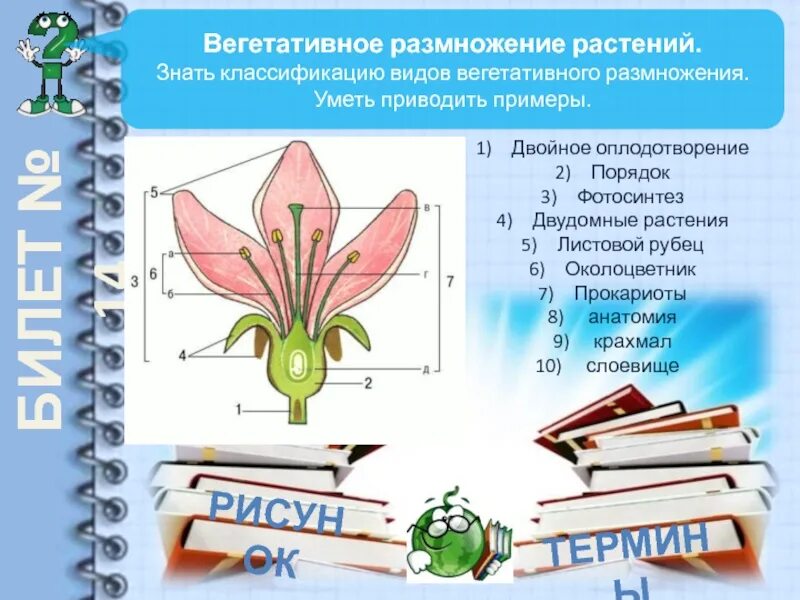 Способы размножения растений тест. Вегетативное размножение покрытосеменных растений. Вегетативное размножение растений схема. Способы вегетативного размножения покрытосеменных. Вегетативное размножение покрытосеменных растений 6 класс.