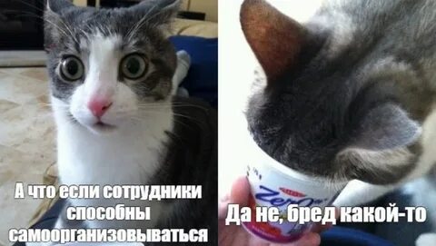 Не видишь какой он