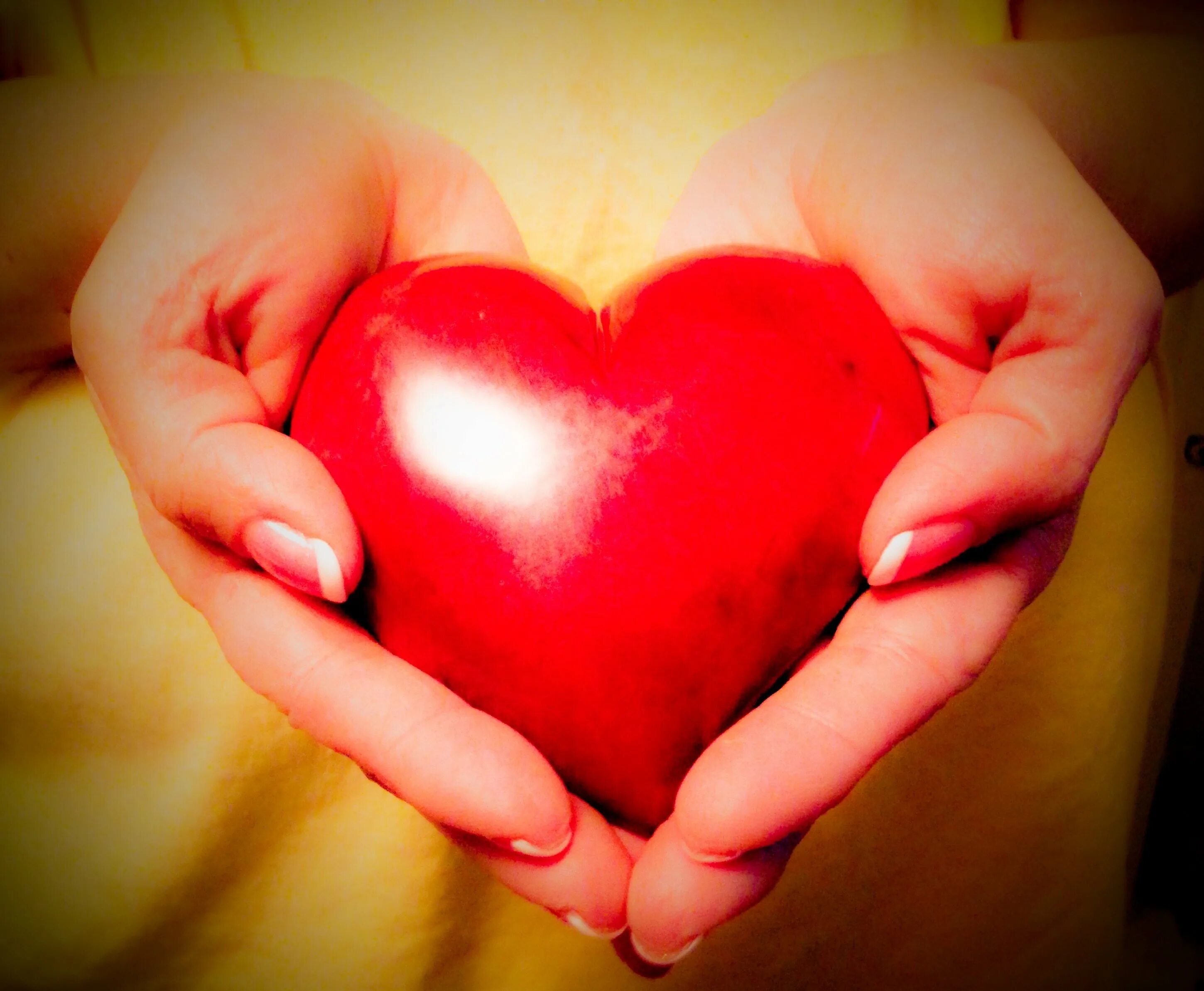 Картинки сердцев. Сердце в руках. Сердце картинка. Дарю сердце. Сердце в ладонях.