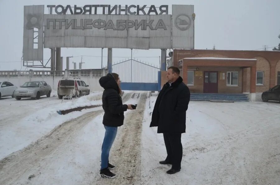 Тольяттинская птицефабрика. Тольяттинская птицефабрика в самарской области. Тольяттинская птицефабрика стелла. Петух тольяттинская птицефабрика. Тольяттинская птицефабрика.