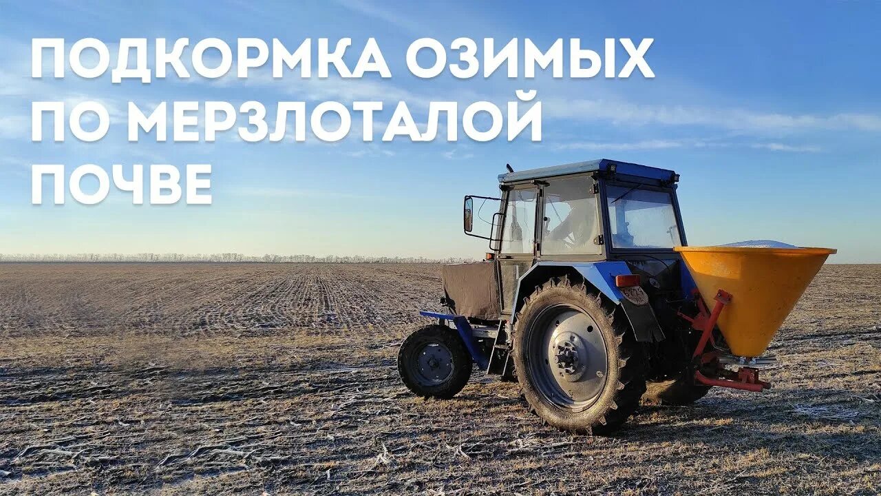 Подкормка озимых селитрой. Подкормка озимых. Озимые культуры удобрение. Спецтехника для подкормки озимых. Подкормка озимых селитрой.