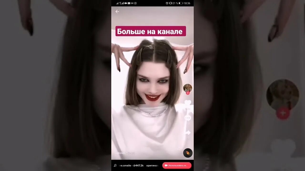 Девочки девчонки мы для них котенки песня
