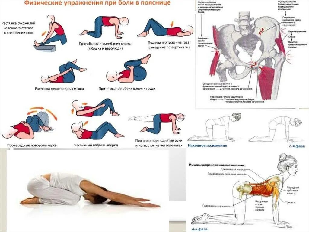 Болит поясница при движении. Упражнения для снятия боли в пояснице и спине. Упражнения на ягодицы при болях в пояснице. Растягивающие упражнения для спины при болях в пояснице. Упражнения для снятия боли в пояснице и крестце.