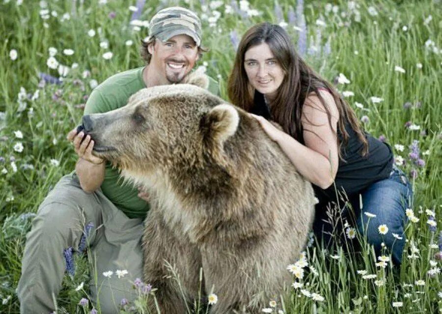 встреча с дикими животными в лесу. гризли 2015. встреча человека с животным. встреча человека с животным. кейси андерсон.