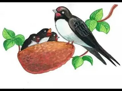 DIY қарлығаш ұялары