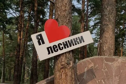 Сайт лесник курган