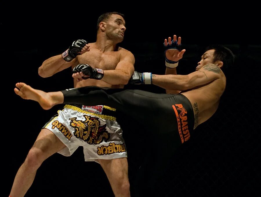 Тренировка по боксу. Игровое единоборства. Игровое единоборства. Mma игра. Игровое единоборства.