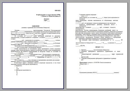 Исковое заявление банкротстве должника