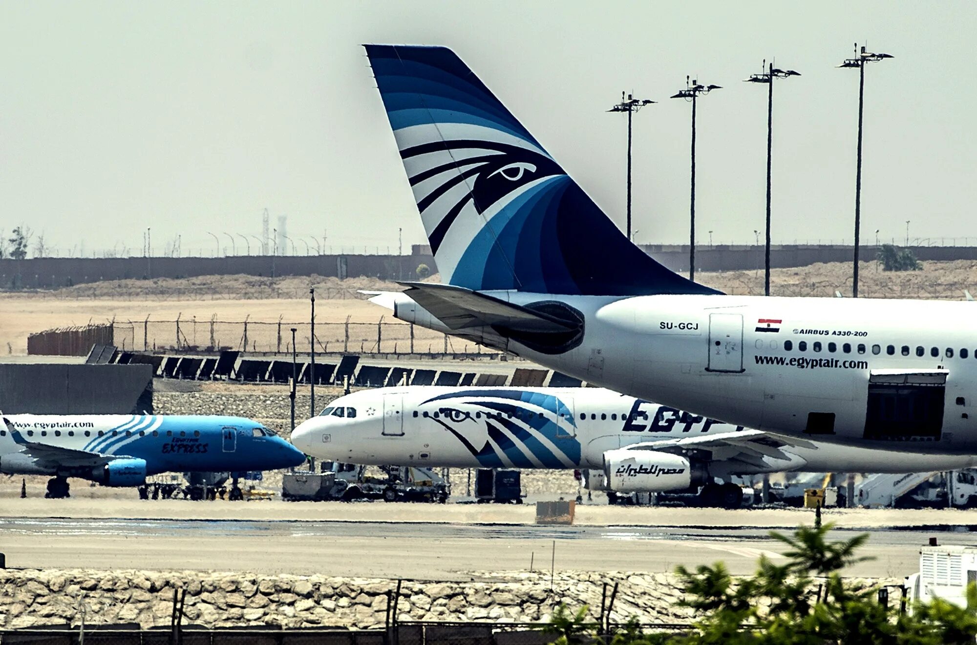 Egyptair купить билет. Самолёт Египтэйр. А330 египетские авиалинии. Авиакомпания Egypt Air. Самолет Egypt Air 804.