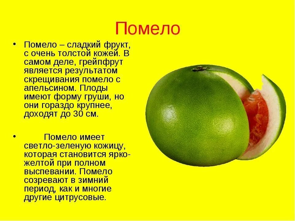 Польза помело для женщин и вред здоровья. Характеристики фрукта помело. Помело фрукт полезные свойства. Чем полезна помело. Помело чем полезен этот фрукт.