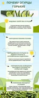 Огурцы горчат причина и что делать