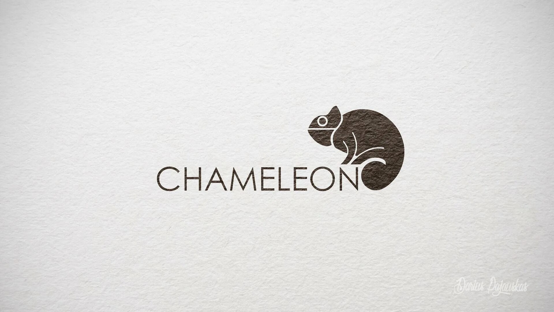 Хамелеон лого. Chameleon логотип. Хамелеон надпись. Логотип студия хамелеон.
