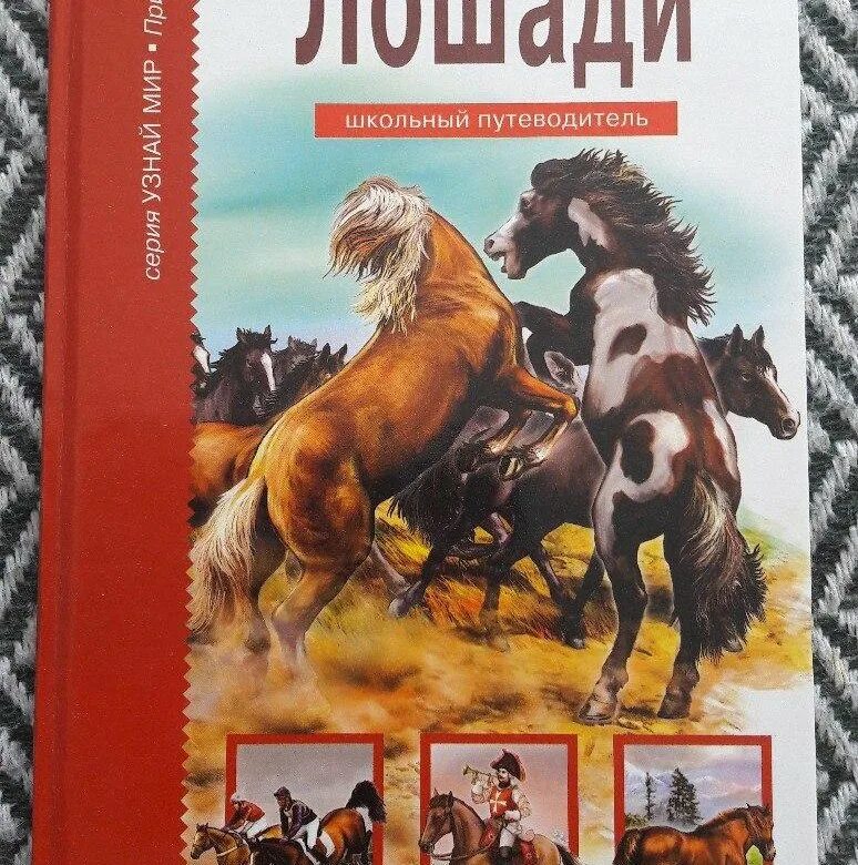 Конь авторы музыки и слов. Лошади. Школьный путеводитель.. Книги про лошадей. Книга о конях для детей.