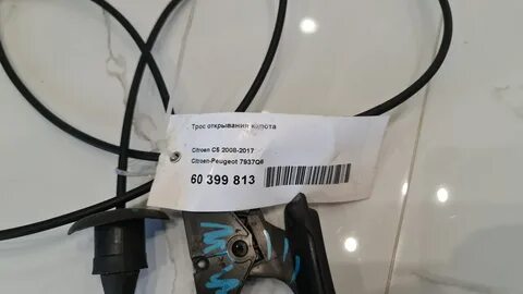 7937