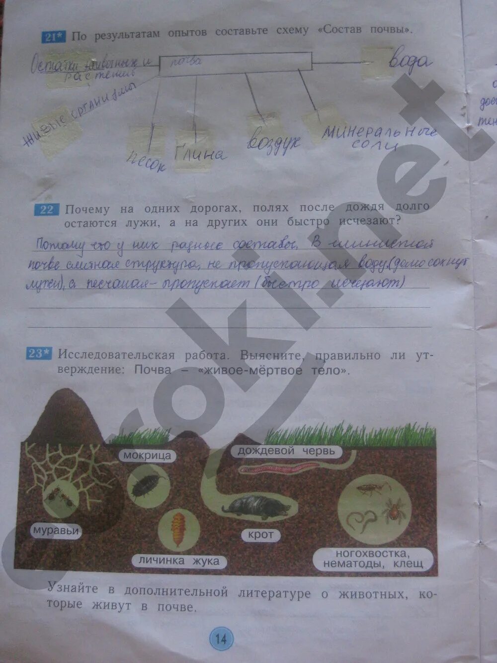 Косовцева окружающий мир 3 класс рабочая тетрадь. Окружающий рабочая тетрадь что такое почва. Окружающий мир 3 класс рабочая стр 14. Окружающий мир Наумова рабочая тетрадь.