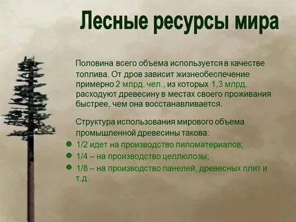 Основные меры по рациональному использованию лесных ресурсов