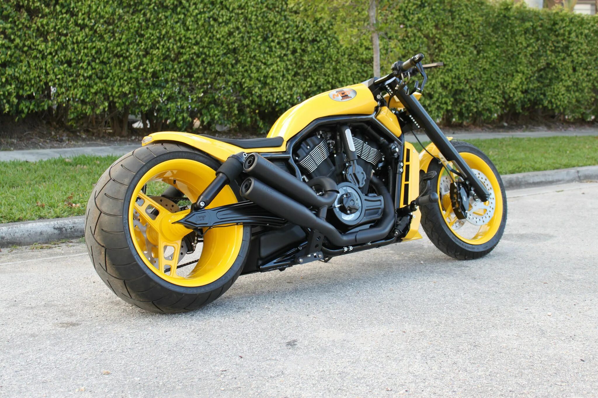 Customs limited. Harley Davidson v Rod Custom. V Rod Custom. No limit Custom v-Rod. Черно желтый v-Rod.