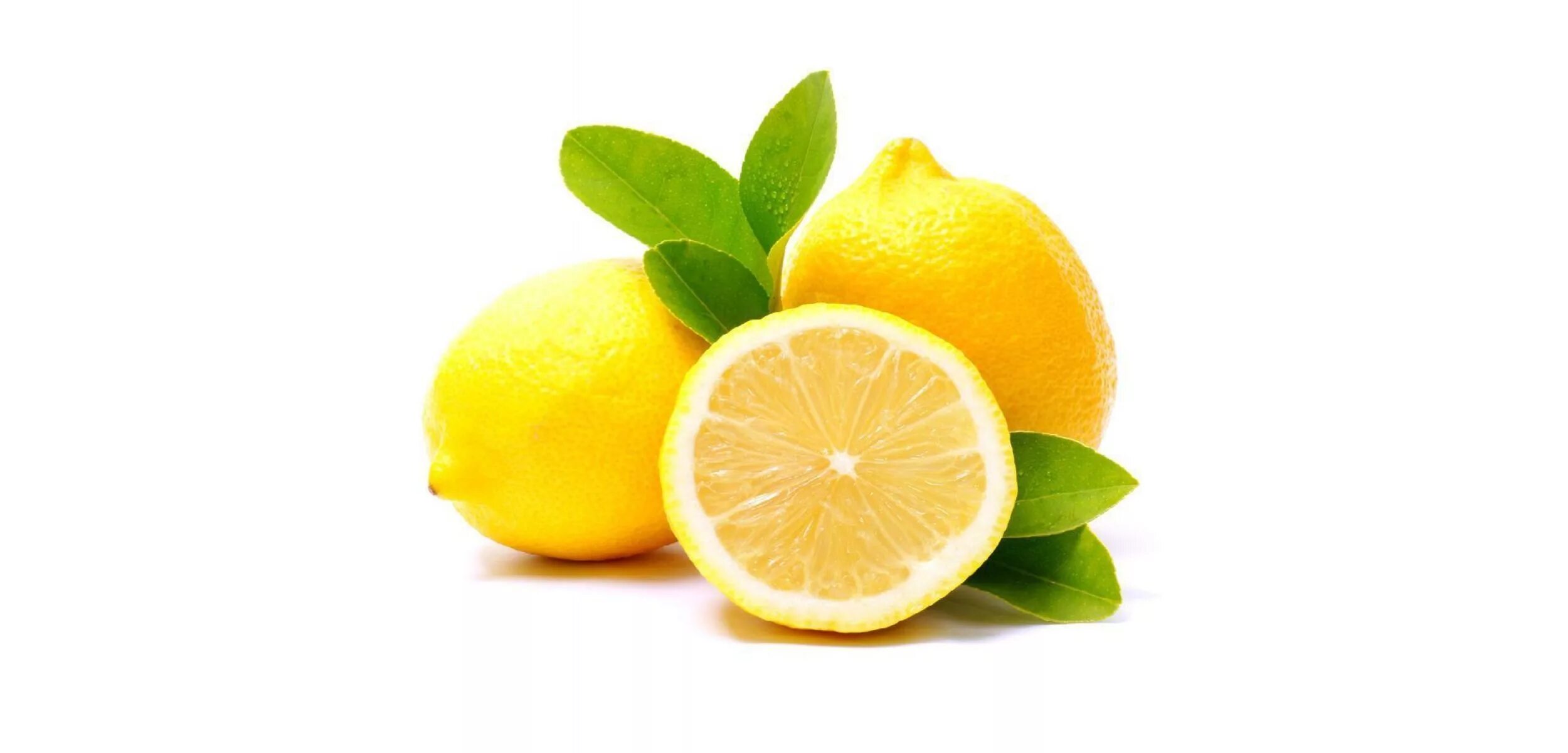 Купить лимон с доставкой. Лимон 1кг. Лимон Citrus Limon. Лимон на белом фоне. Эфирное масло лимона.