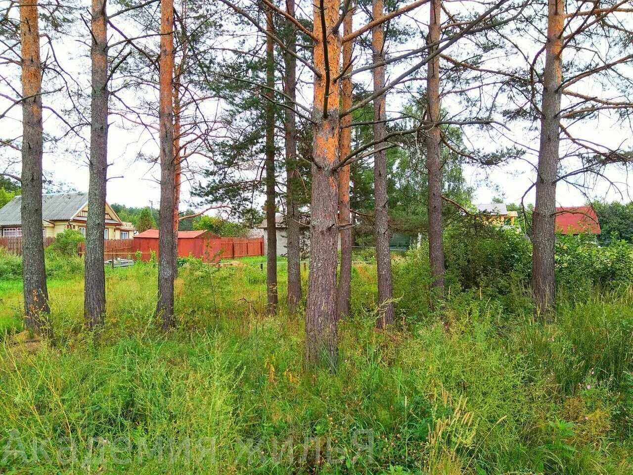 Купанское переславский район. Купанское Переславль Залесский. Село Купанское Переславский район Ярославская область. Деревня Купанское Переславль Залесский. Поселок Купанское Переславский район.