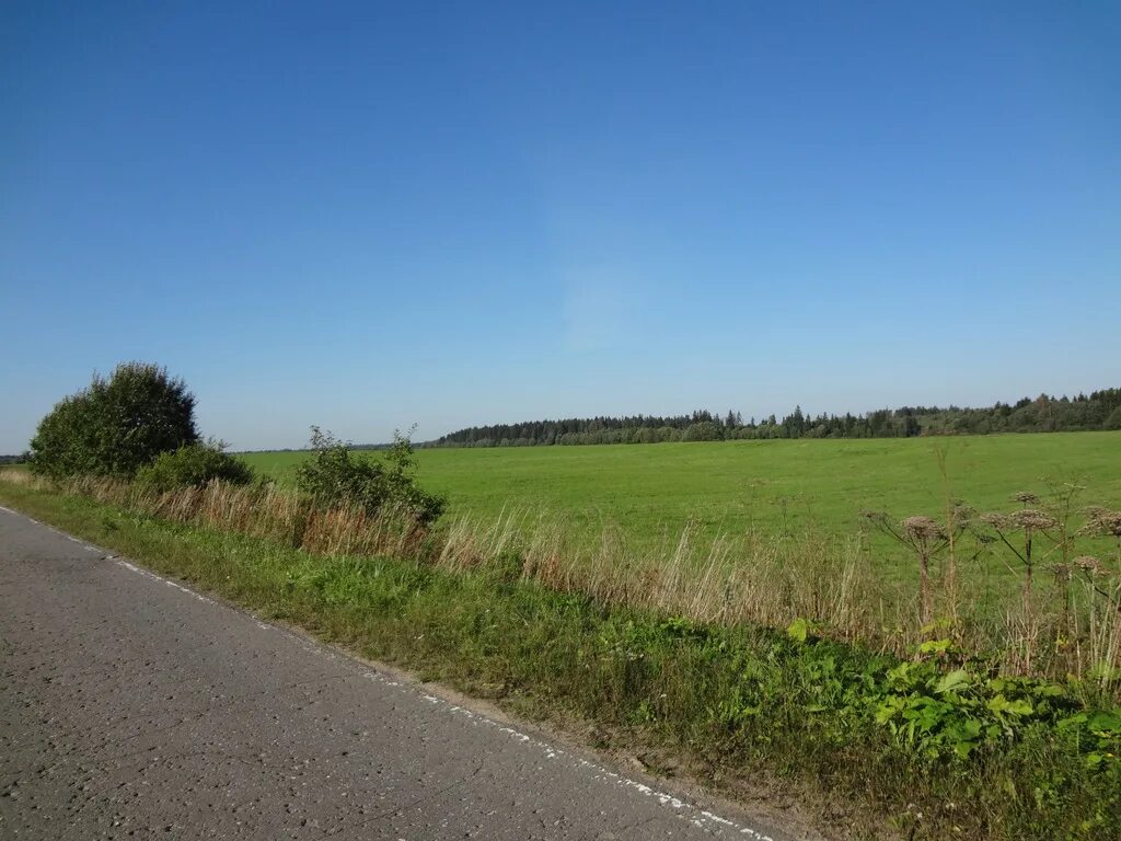 Купить земельный участок щеглино вологда. Участки в гатчинском районе ижс. Мыза-ивановка гатчинский район мосты. Соловьёвка ленинградская область. Дома в вырице нахимсона.