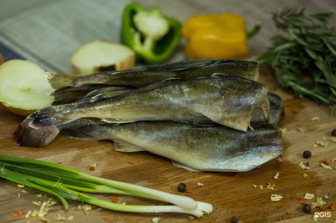 Навага. Навага. Навага рыба фото. Беломорская навага рыба. Навага черноморская.