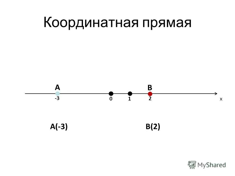 координатная прямая положительная. между числами - 3 и 2 расположены - 2 - 1 0 и 1. координатная прямая и координатный луч.