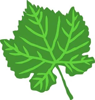 Листья зеленые картинки для детей