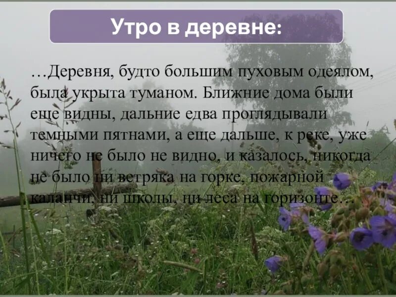 Текст раннее летнее утро. Деревня будто большим пуховым одеялом. Летнее утро в деревне стихи. Описание природы села. Рассказ утро в деревне.