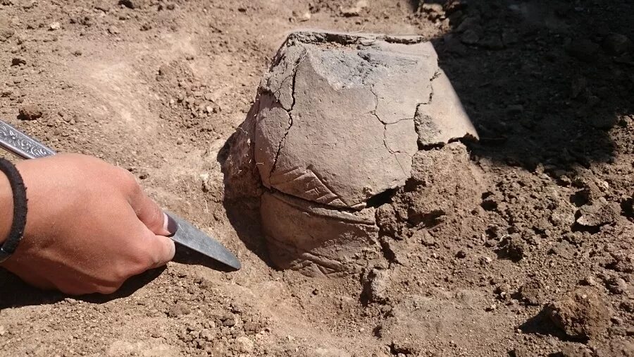 Археология для детей. Археологические раскопки отчеты. Археологи на раскопках. Нивелир в археологии. Археологические раскопки отчеты.