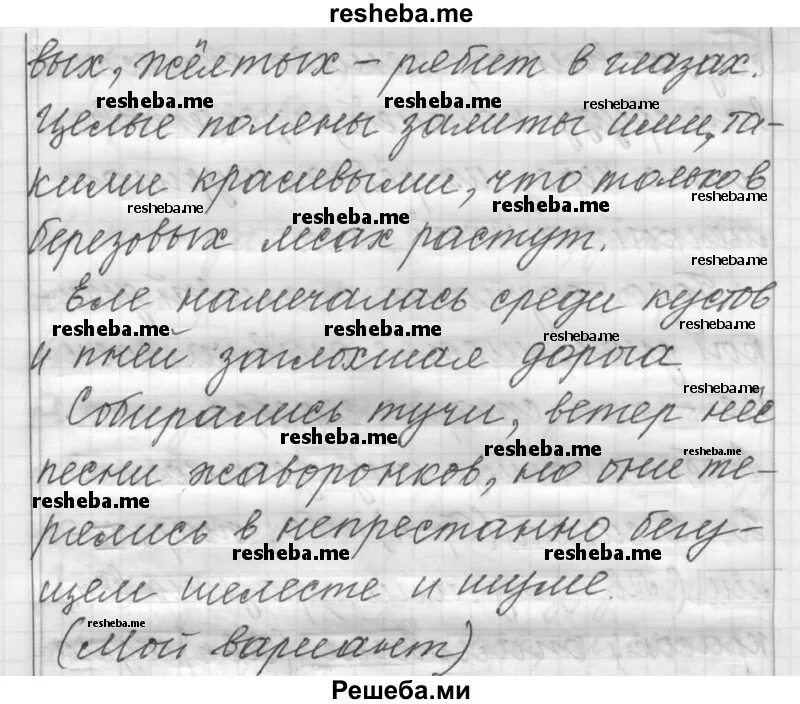 Русский шмелев шестой класс вторая часть. Русский язык 6 класс а.д.шмелёв. Русский язык 6 класс шмелёва. Русский язык 6 класс шмелёв 2 часть. Страницы русского языка 6 класса Шмелев.