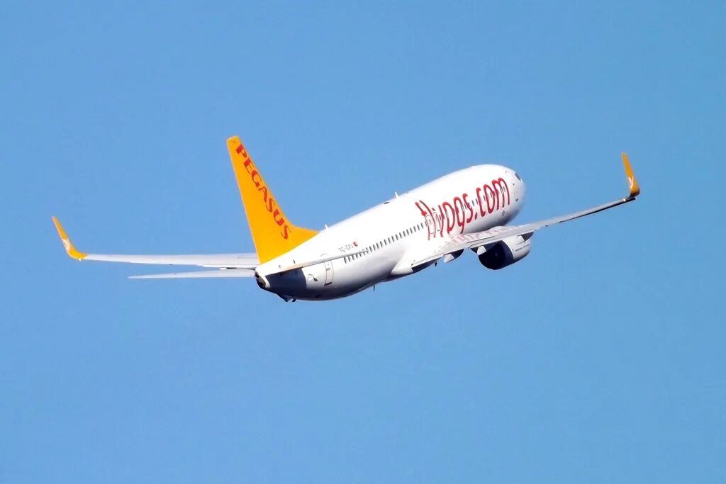 Пегасус купить авиабилеты на русском. Boeing 737 Pegasus Airlines. А321 Пегасус. Пегасус pc387. Pegasus Airlines рейс 1522.