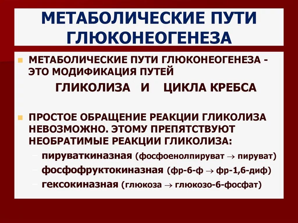 Метаболический путь ферментов. Метаболические пути. Примеры метаболических путей. Центральные метаболические пути. Циклические метаболические пути.