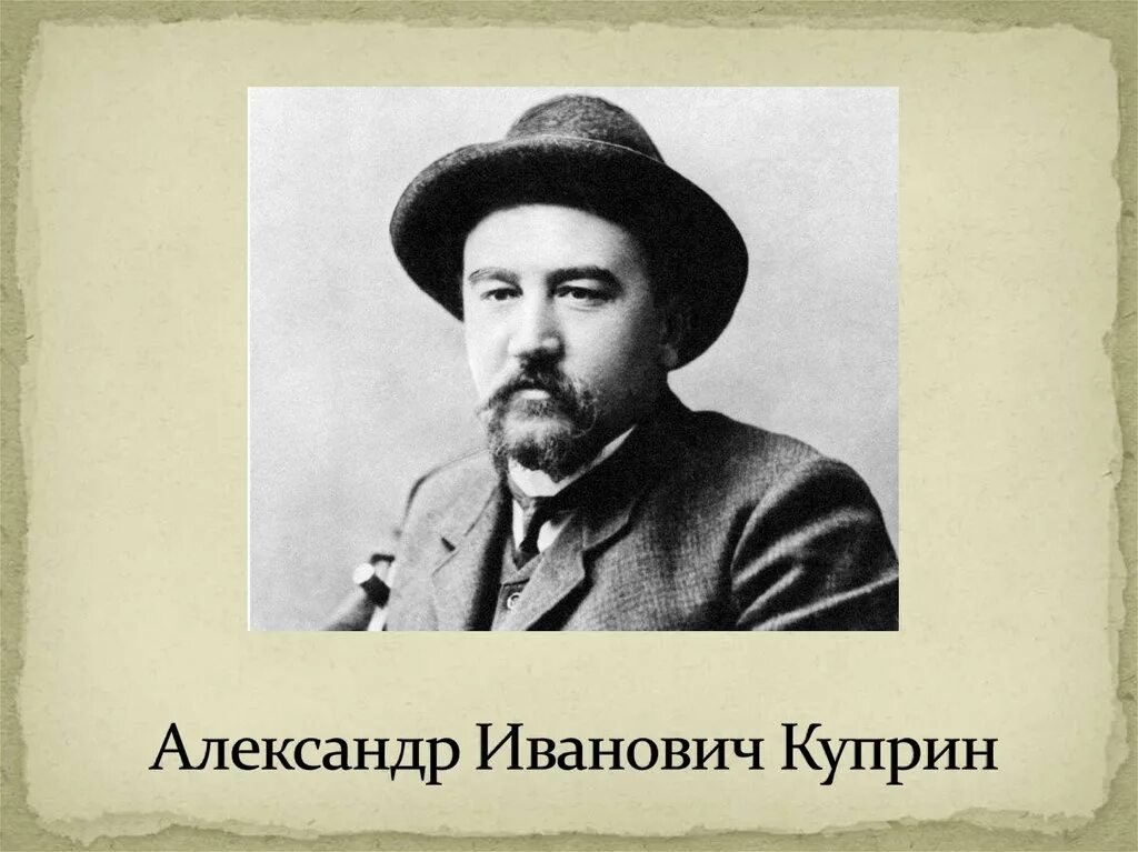 Куприн портрет. Куприн автор. Портрет писателя куприна. Куприн портрет. Портрет куприна.