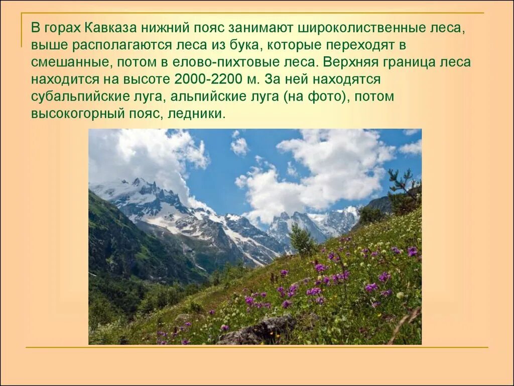 На какой высоте расположен субальпийский пояс кавказ. Кавказ самые высокие горы России 8 класс. Субальпийские Луга Северного Кавказа. Рассказ о горах Кавказа. Горы Кавказа сообщение.