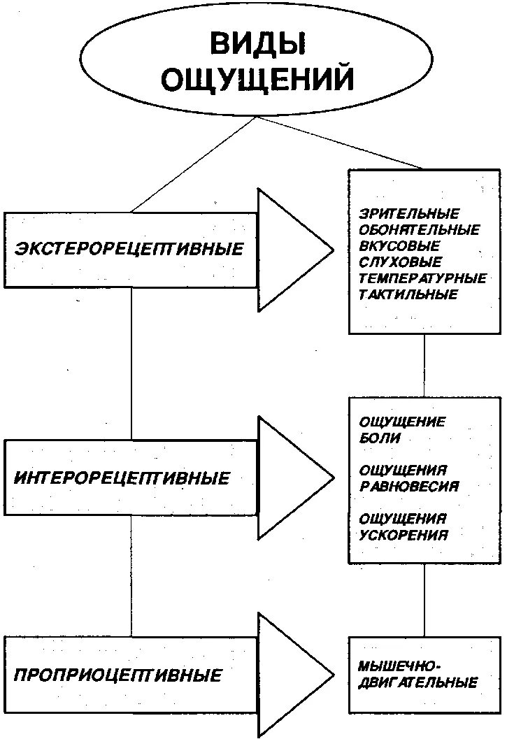 Свойства процесса ощущений. Схема виды ощущений психология. Виды ощущения и восприятия в психологии таблица. Виды ощущений в психологии таблица. Виды и свойства ощущений в психологии таблица.