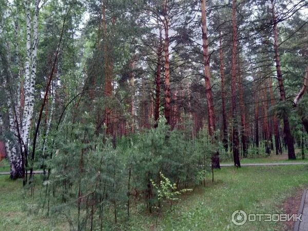 Лагерь чернолучье омская область. Лагерь радуга чернолучье. Чернолучье лагерь омск. Детский лагерь чернолучье омск. Пионерские лагеря в чернолучье омск.