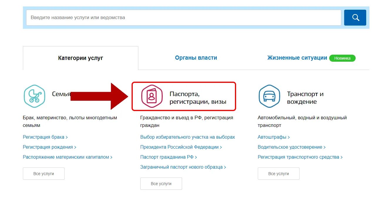 Виза через госуслуги. Как сменить гражданство в госуслугах. Как в госуслугах поменять паспортные данные.