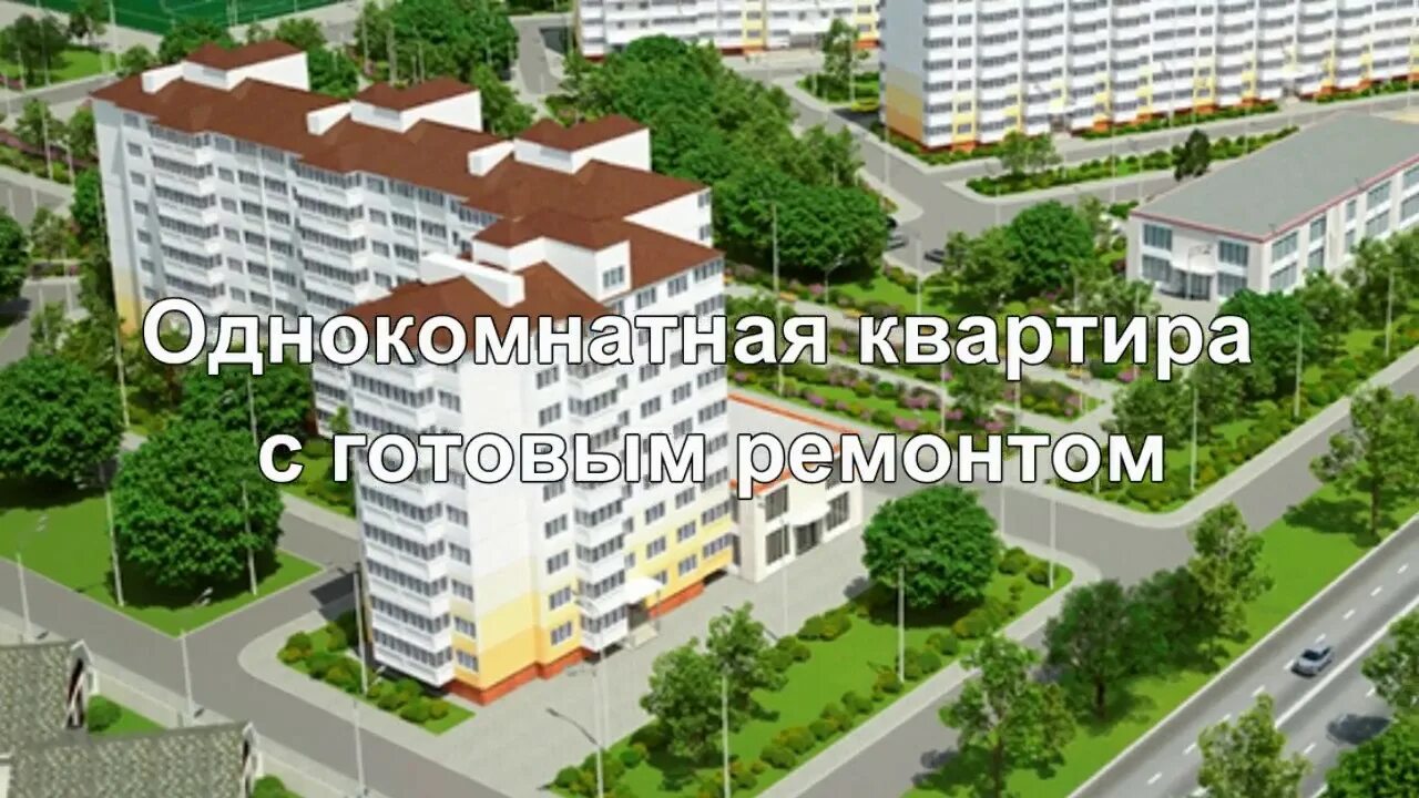 Горгиппия морская купить