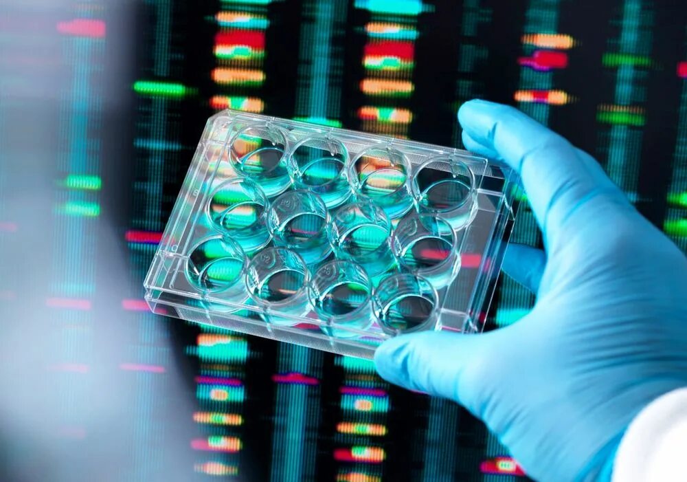 Новые разработки препаратов