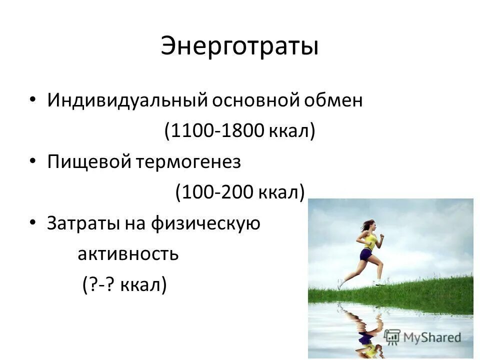 энерготраты основного обмена. какой самый важный процесс жизнедеятельности?. энерготраты организма. энерготраты организма включают. энерготраты основного обмена.