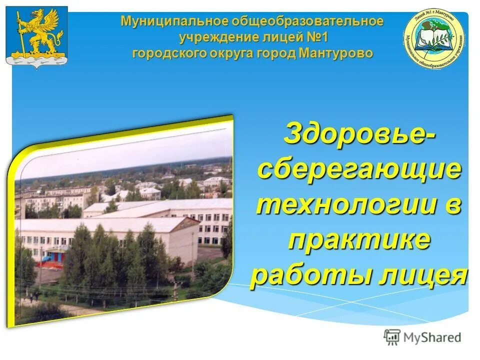 Лицей 1 Мантурово. Муниципальное образовательное учреждение. Мантурово Костромская область лицей. Лицей номер 1 Ухта. Муниципальное общеобразовательное учреждение лицей 1